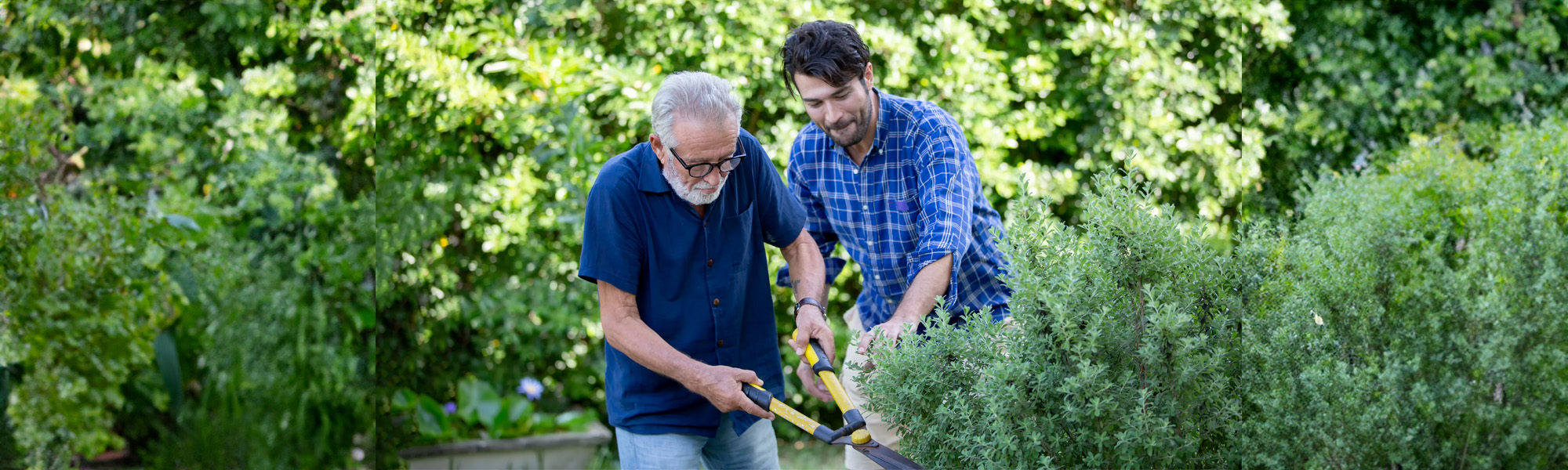man taking care about his elderly father in house
